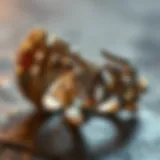 Intricate design of Ben Bridge rings showcasing craftsmanship