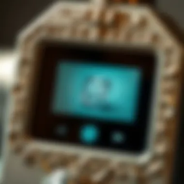 Detailed view of a diamond tester's interface and display features