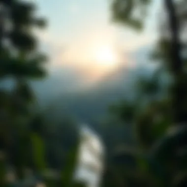 A serene landscape of the Amazon rainforest, the natural habitat of these gemstones