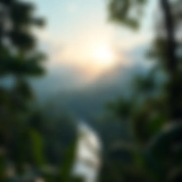 A serene landscape of the Amazon rainforest, the natural habitat of these gemstones