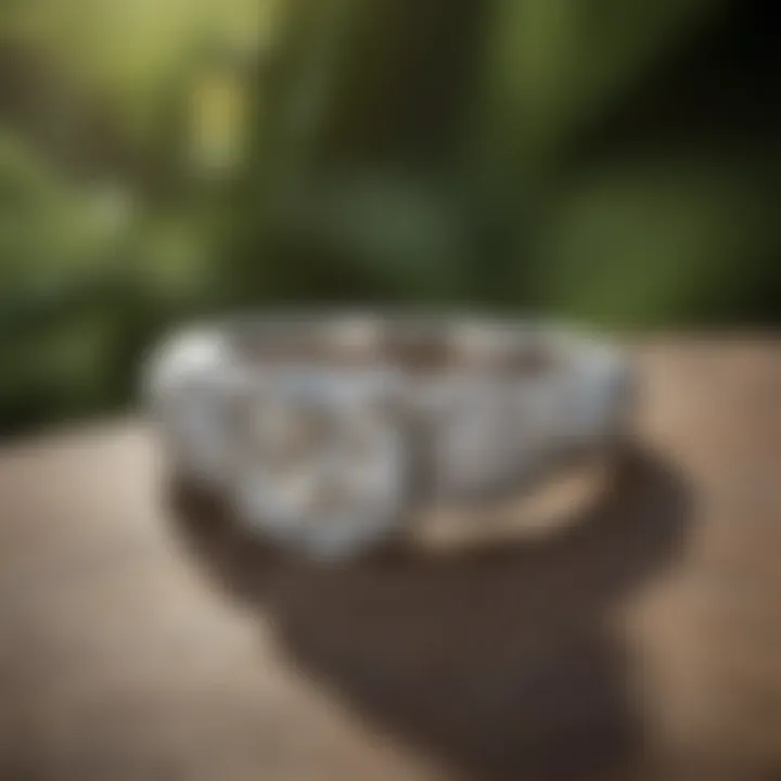 Artistic representation of a four-prong platinum ring against a lush backdrop