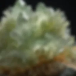 Close-up view of a prehnite crystal showcasing its unique color and texture.