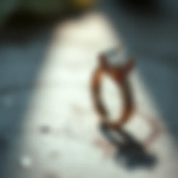 Symbolic imagery reflecting the emotional significance of engagement rings