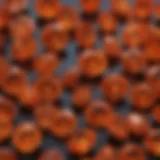 A close-up view of spessartite garnet showcasing its vibrant orange hue