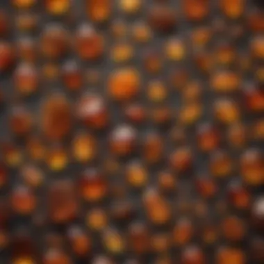 Diverse Shades and Textures of Amber An array of amber pieces, each displaying different shades and textures.