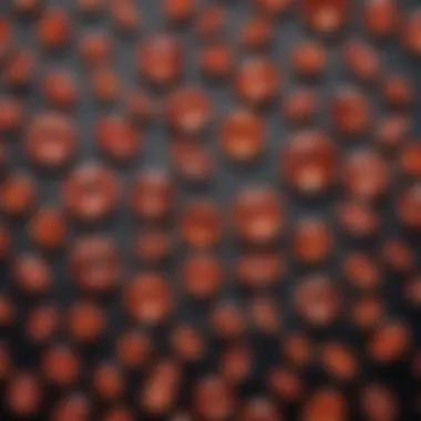 Diverse Collection of Padparadscha Sapphires Display of various padparadscha sapphires showcasing their rarity and beauty