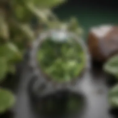 Notable The Birthstone for August 7th: A Comprehensive Exploration Notable The Birthstone for August 7th: A Comprehensive Exploration